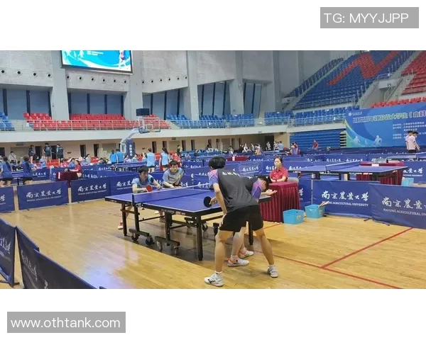 南京乒乓球队荣登灵活性排行榜首位引领全国乒乓球发展新风潮