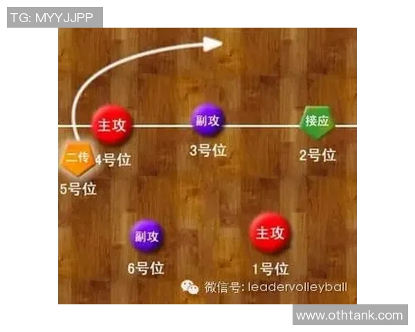 杭州排球队中路突破战术解析与未来发展展望