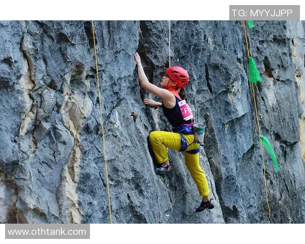 武汉攀岩队的奋斗之路:一段勇攀高峰的纪实旅程与心路历程 武汉攀岩队的奋斗之路:一段勇攀高峰的纪实旅程与心路历程