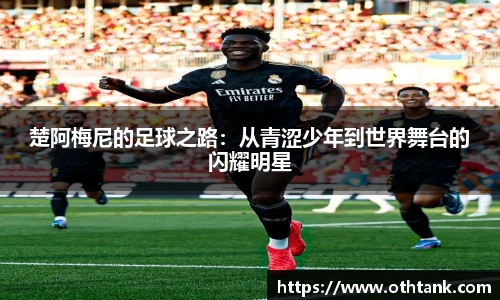 完美体育登录入口